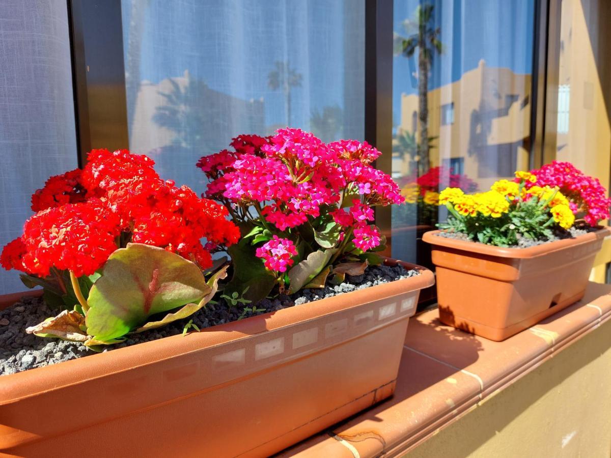 Casa Ledu - Sunny Holiday In Fuerteventura คอร์ราเลโฮ ภายนอก รูปภาพ